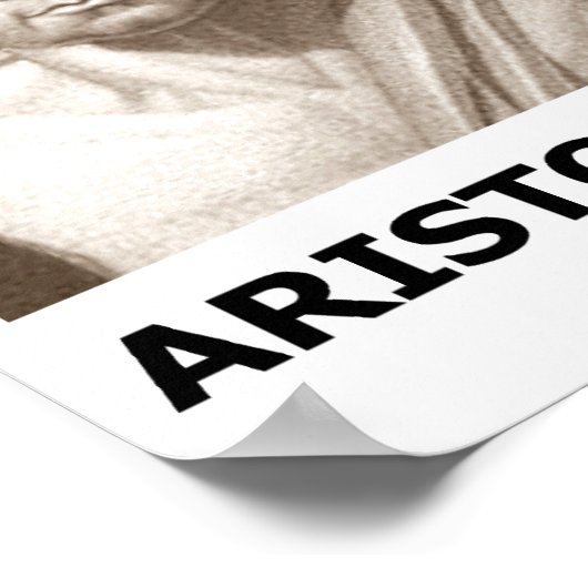 Aristoteles Leben im wahren Sinne Poster (Ecke)