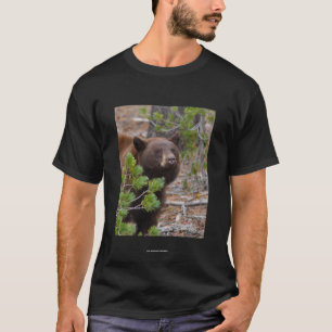Aristoteles T-Shirt