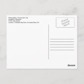 Aristoteles Zitat Postkarte (Rückseite)