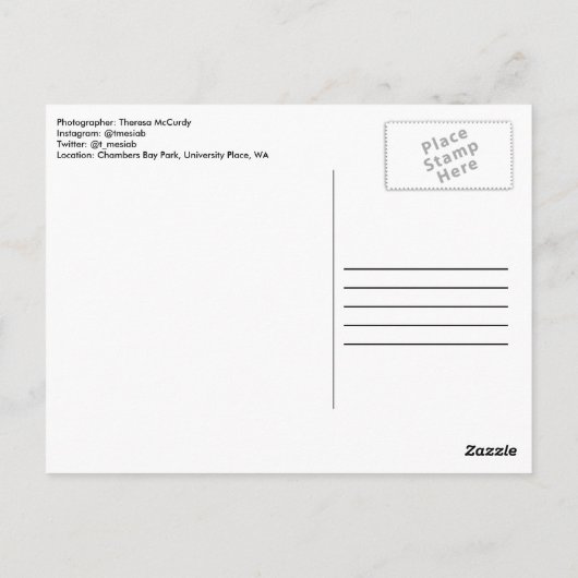 Aristoteles Zitat Postkarte (Rückseite)