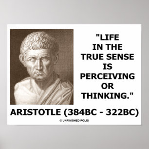 Aristotle Life In True Sense Perceiving Thinking Poster