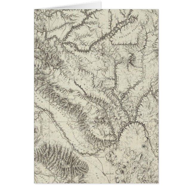 Arizona 4 (Vorne)