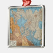 Arizona 5 silbernes ornament (Links)