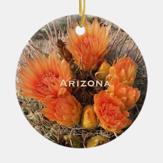 Arizona Barrel Cactus Blume Ornament (Vorne)