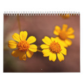 Arizona-Blumen Kalender (Titelbild)