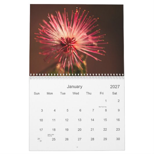 Arizona-Blumen Kalender (Jan 2027)