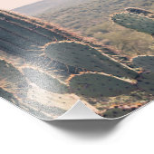 Arizona Cacti | FOTO (Ecke)