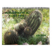Arizona Cacti Kalender (Titelbild)