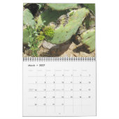 Arizona Cacti Kalender (Mär 2027)