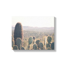 Arizona Cacti | Leinwand Art