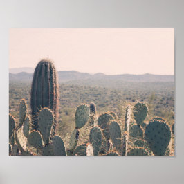 Arizona Cacti | Poster