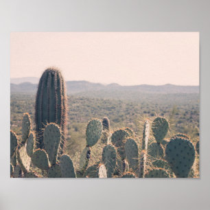 Arizona Cacti Poster