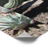 Arizona Cactus Garden Poster (Ecke)
