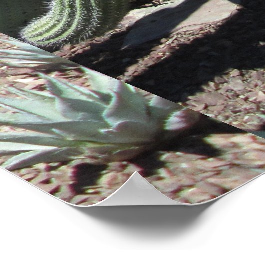 Arizona Cactus Garden Poster (Ecke)