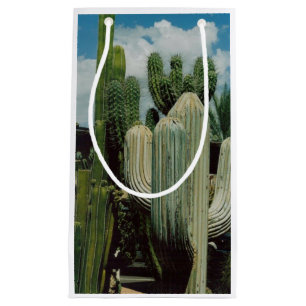Arizona Cactus Kleine Geschenktüte