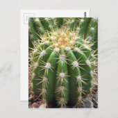 Arizona Cactus Postkarte (Vorne/Hinten)