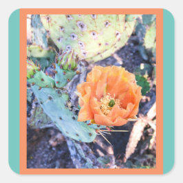 Arizona Cactus Siegels / Stickers