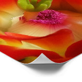 Arizona Claret Cup Cactus Red Orange Blume Poster (Ecke)