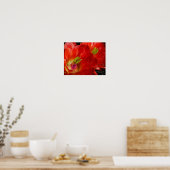 Arizona Claret Cup Cactus Red Orange Blume Poster (Küche)