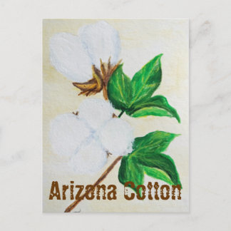 Arizona Cotton Fakten Postkarte