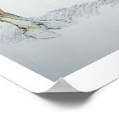 Arizona Cowboy, 1901 Poster (Ecke)