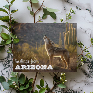 Arizona Coyote Landschaft Kaktus Wüste Postkarte