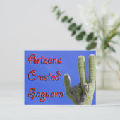Arizona Crested Saguaro Postkarte (Stehend Vorderseite)