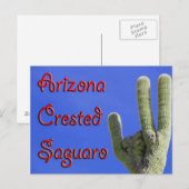 Arizona Crested Saguaro Postkarte (Vorne/Hinten)