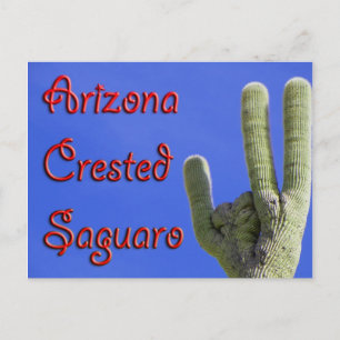Arizona Crested Saguaro Postkarte