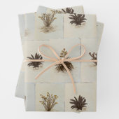 Arizona Desert Cacti Geschenkpapier Set (Beispiel)