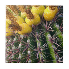 Arizona Desert Cactus Floral Bloom Fliese