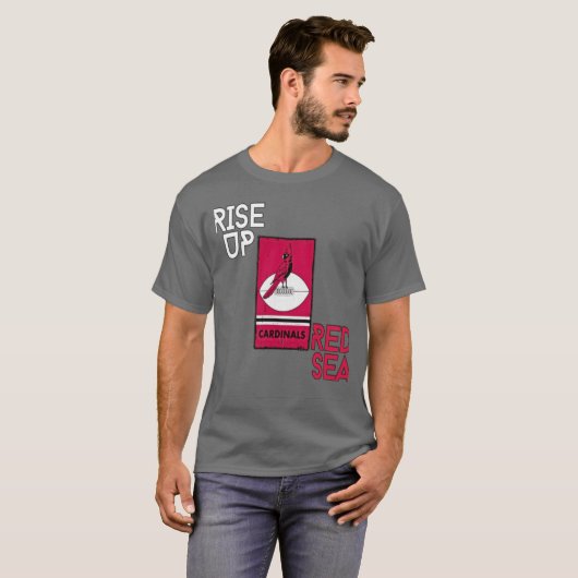 Arizona Dinals T-Shirt (Vorne ganz)