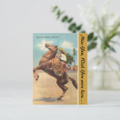 Arizona, eine schöne mexikanische Pferdeschön Postkarte (Stehend Vorderseite)