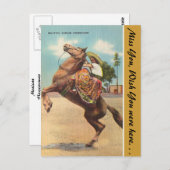 Arizona, eine schöne mexikanische Pferdeschön Postkarte (Vorne/Hinten)