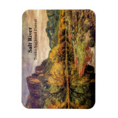 Arizona Fluss Sonoran Wüste Albergo Colmanicchio Magnet (Vertikal)