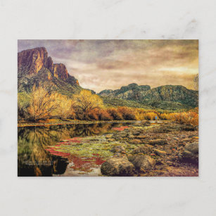 Arizona Fluss Sonoran Wüste Albergo Colmanicchio Postkarte