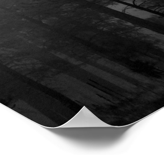 Arizona Fog Poster (Ecke)