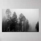 Arizona Fog Poster (Vorne)