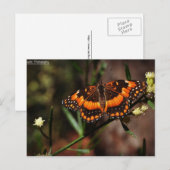 Arizona Free Postkarte (Vorne/Hinten)