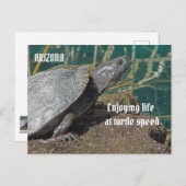 Arizona Genießen Sie das ermüdete Leben Turtle Fot Postkarte (Vorne/Hinten)