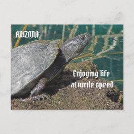 Arizona Genießen Sie das ermüdete Leben Turtle Fot Postkarte