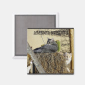 Arizona-Gesetze Magnet (Vorderseite/Rückseite)