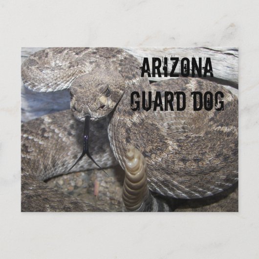 Arizona Guard Dog Postkarte (Vorderseite)