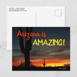 "Arizona ist Phantastisch!" Sunset Sonoran Desert  Postkarte