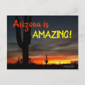 "Arizona ist Phantastisch!" Sunset Sonoran Desert  Postkarte (Vorderseite)