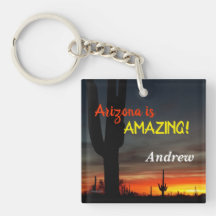 "Arizona ist Phantastisch!" Sunset Sonoran Desert