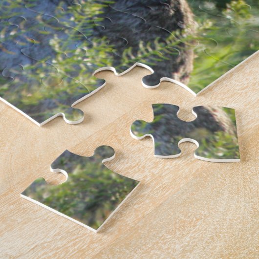 Arizona Jack Rabbit. Puzzle (Seite)