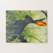 Arizona Jack Rabbit. Puzzle (Horizontal)