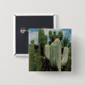 Arizona-Kaktus Button (Vorne & Hinten)