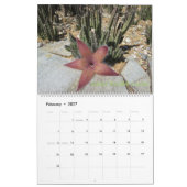 Arizona-Kaktus-Kalender Kalender (Feb 2027)